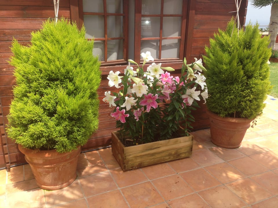 Patios · La Villa Pris · 1